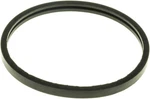 Thermostat Seal Gates 33658. Fixed Price $10.55.