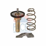 Facet Engine Coolant Thermostat 7.8774 For Smart. Fixed Price $42.11.