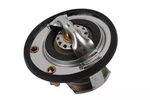 Genuine Gm Engine Coolant Thermostat 97241130. Fixed Price $38.60.