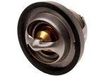 24506986 Gm Ac Delco Thermostat For Chevrolet Olds Sabre Somerset S10 Pickup. Fixed Price $26.95.