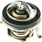 Motorad 7306-192 Fail-safe THERMOSTAT-192 Degrees W/ Seal. Fixed Price $18.66.