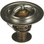 Gates 33889 Oe Type Engine Coolant Thermostat. Fixed Price $36.70.