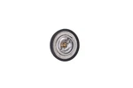 Kamoka 7710056 Thermostat, Coolant For Chevrolet Daewoo. Fixed Price $15.54.