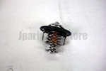 Nissan Genuine 21200-AD21A Engine Coolant Thermostat. Fixed Price $65.12.