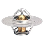 Gates 33038 Oe Equivalent Engine Coolant Thermostat. Fixed Price $10.99.