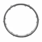 Engine Coolant Outlet Gasket Motorcraft RG-619. Fixed Price $12.38.