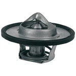 Acdelco 131-71 Engine Coolant Thermostat. Fixed Price $19.38.