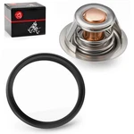 Thermostat + Seal For Polaris Sportsman Xp 850 2009-2014 7052561 7052445 5413948. Fixed Price $28.99.