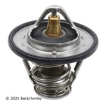 Engine Coolant Thermostat Beck/arnley 143-0789. Fixed Price $22.88.