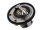 Acdelco 131-131 180 Degree Thermostat Rear For Gm Pickup Duramax. Fixed Price $44.56.