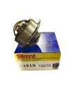 Stant Thermostat P/n: 13919. Fixed Price $19.95.
