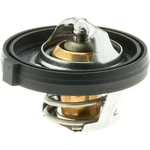 Gates 33849 Oe Type Engine Coolant Thermostat. Fixed Price $17.99.