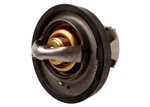 Acdelco 24505924 Gm Original Equipment Engine Coolant Thermostat Kit With Gasket. Fixed Price $36.99.