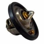 Genuine Motorcraft Engine Coolant Thermostat RT-1211. Fixed Price $18.46.