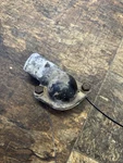 1988-92 Firebird Camaro Trans Tbi Thermostat Housing Water Neck Gm Aluminum. Fixed Price $35.00.