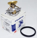 Genuine Wahler Borgwarner 4176.85D Engine Coolant Thermostat 6012000015. Fixed Price $25.90.